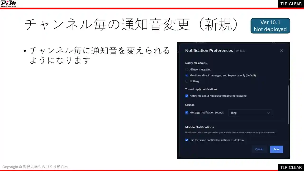 スライド画像