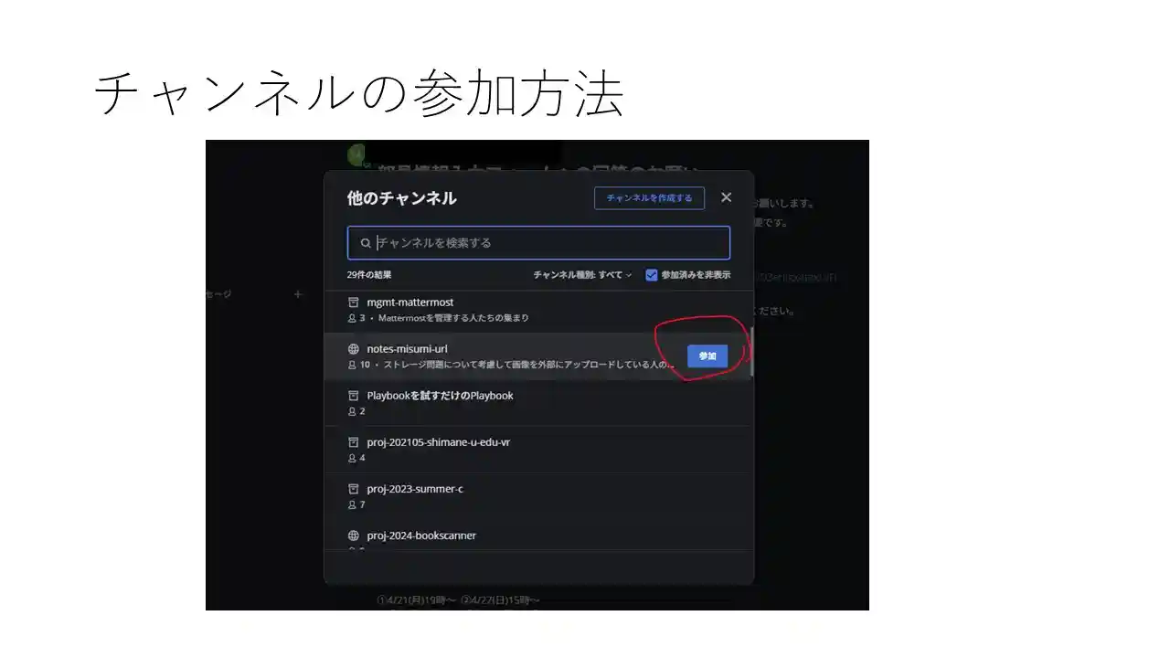 スライド画像